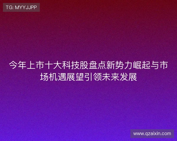 今年上市十大科技股盘点新势力崛起与市场机遇展望引领未来发展 今年上市十大科技股盘点新势力崛起与市场机遇展望引领未来发展